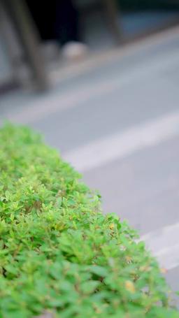 After Divorced, He Finally Saw Me episode 64