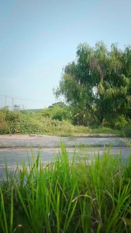 我在人間當閻羅 episode 54