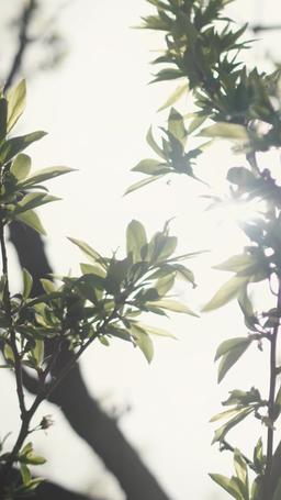 Укрощая хулиганов episode 58