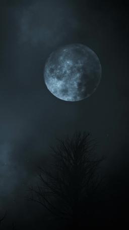 [Dubbing] Król Alpha i Jego Ludzka Narzeczona episode 64