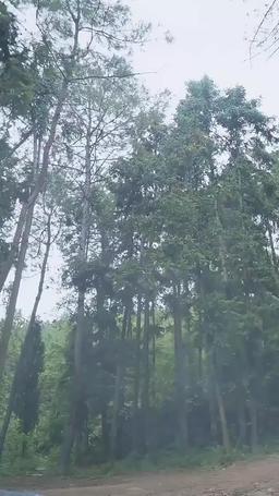 悠久の神 episode 71