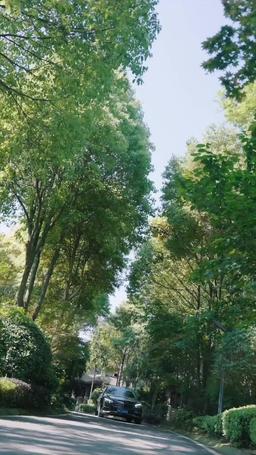 墨雨雲間之真假千金 episode 2