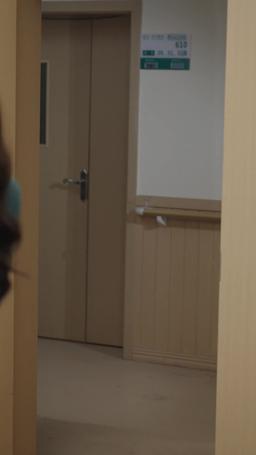 L'ereditiera cremisi episode 22