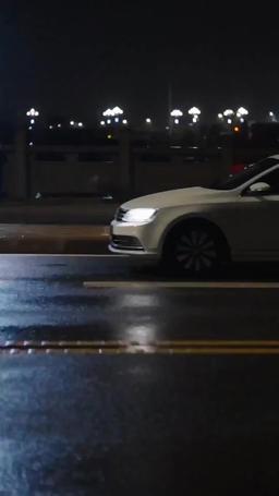 她帶崽離開後，厲總追瘋了 episode 21