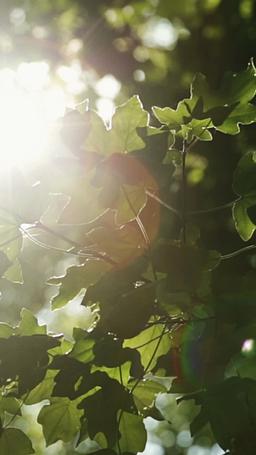 용서는 없다: 그녀의 결심 episode 35