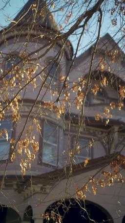 Il mio capo è il mio donatore di sperma segreto episode 47