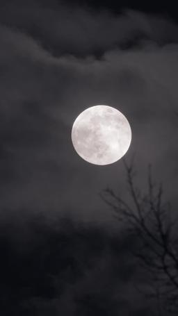 너는 내 운명 episode 43