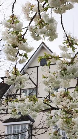 Lei è tornata, io sono andata via episode 27