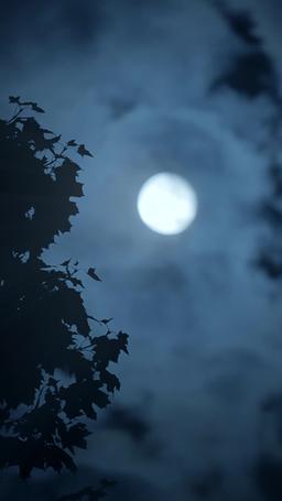 Sangue e Argento: L’Ascesa di Aurora episode 8