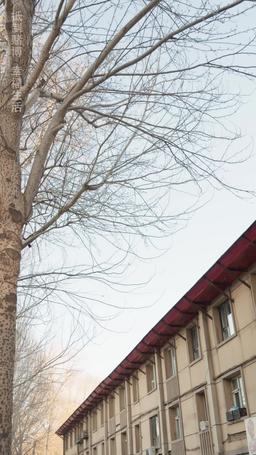 Trapaceiro episode 75