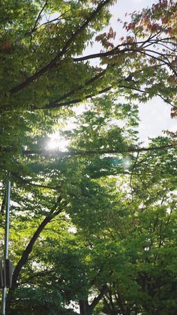 코디가 안티라고 episode 23