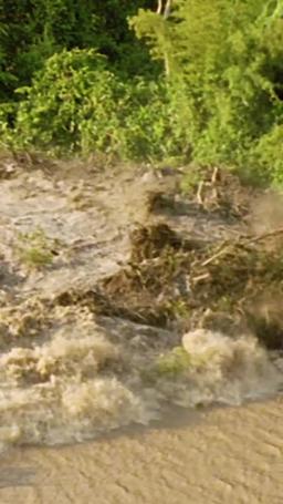 Reverse Rescue in the Great Flood episode 9