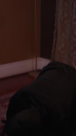 The Mob Boss Substitute episode 34