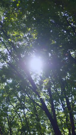 My Husband Murdered Me episode 33