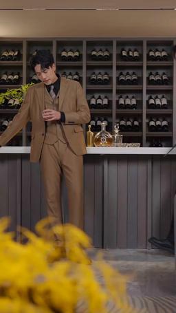 她帶崽離開後，厲總追瘋了 episode 55