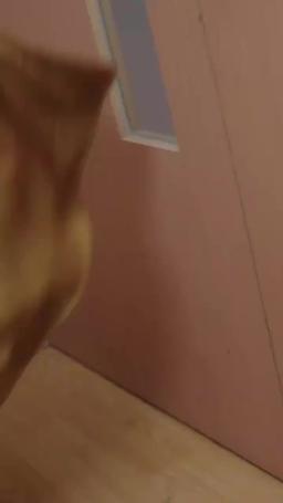 Quando ci siamo lasciati, il mondo si è fermato episode 9