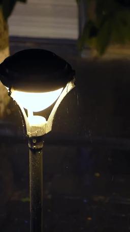 ترويض الوحوش episode 37