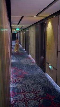 Lunar Companion episode 1