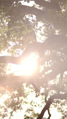 From Poverty to Power: The Hidden Heiress episode 15