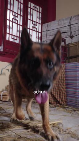 หัวใจพลิกกลางกรุง episode 9