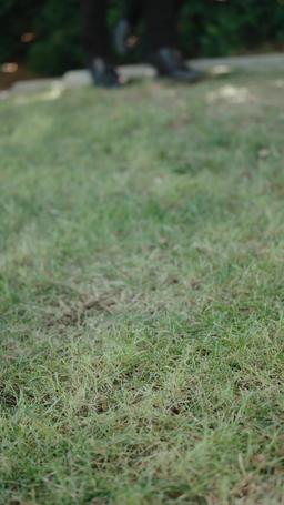 Il mio nemico Alfa episode 47