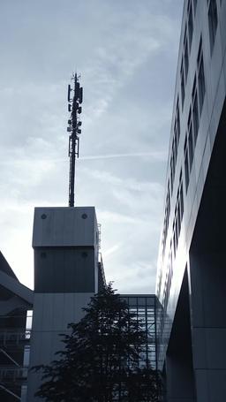 Novia a la Fuga, Bebé a bordo episode 33