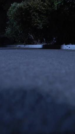 Ölümüm Pişmanlığı episode 10