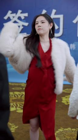 Little Agents: Big Missions episode 28