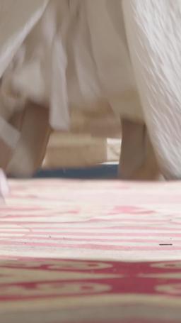 Eternal Dragon Emperor episode 139