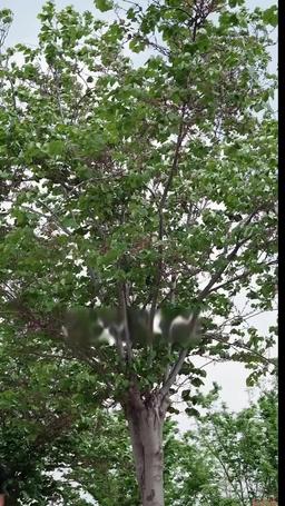 Die Rückkehr des Bettlers: Von der Abholung durch eine Schönheit episode 1