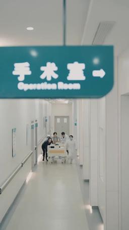 消えた妻の秘密、CEOと三つ子の再会 episode 85