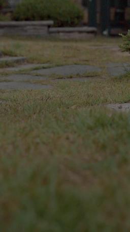 상속자: 미녀와 억만장자 episode 1