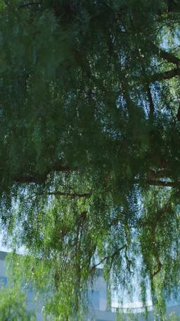 Embarazada del Padre Profesor de Mi Ex episode 61