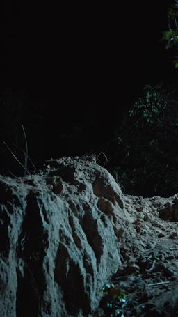 Una Notte, Un Miliardario episode 38