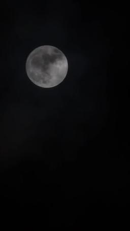 Restoring My Life: From Blood Bank to CEO's Bride episode 37