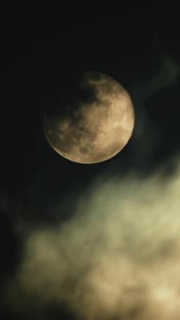 Desiderata dal vampiro e dal cacciatore episode 76