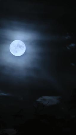 Desire Under Cover episode 13