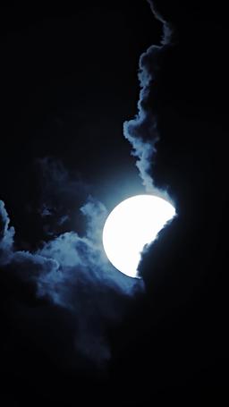 嗜血狼主的啞巴新娘 episode 54