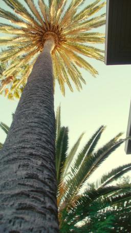 Intercambié cuerpos con mi némesis episode 50