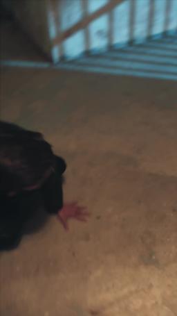 Insta-verheiratet episode 16