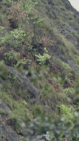 Black Myth: My Master is Wukong episode 61