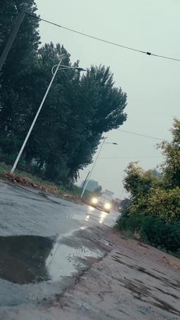 葉落歸根 episode 22