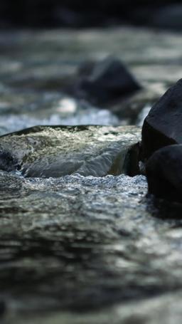 두 알파 사이의 나 episode 36