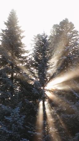 Orang yang Dicintai Tidak Pernah Tersesat episode 1