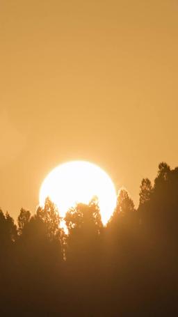 La Prophétesse aux Dons Cachés episode 59