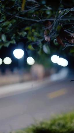 OMG! I'm the Divine?! episode 67