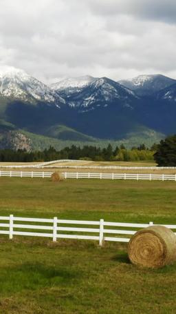 黃石大佬：王者再起 episode 1