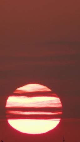 Il mio capo è il mio donatore di sperma segreto episode 42