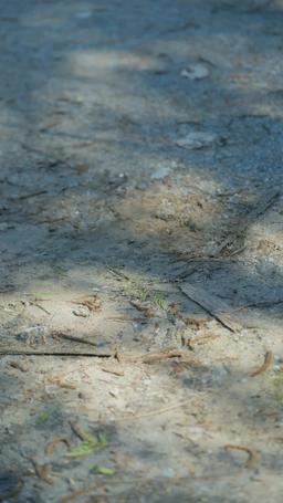 The Scent of My Fated Luna episode 18