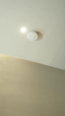 ภรรยาที่รักพ้นโทษ บอสคลั่งรักตามง้อ episode 5